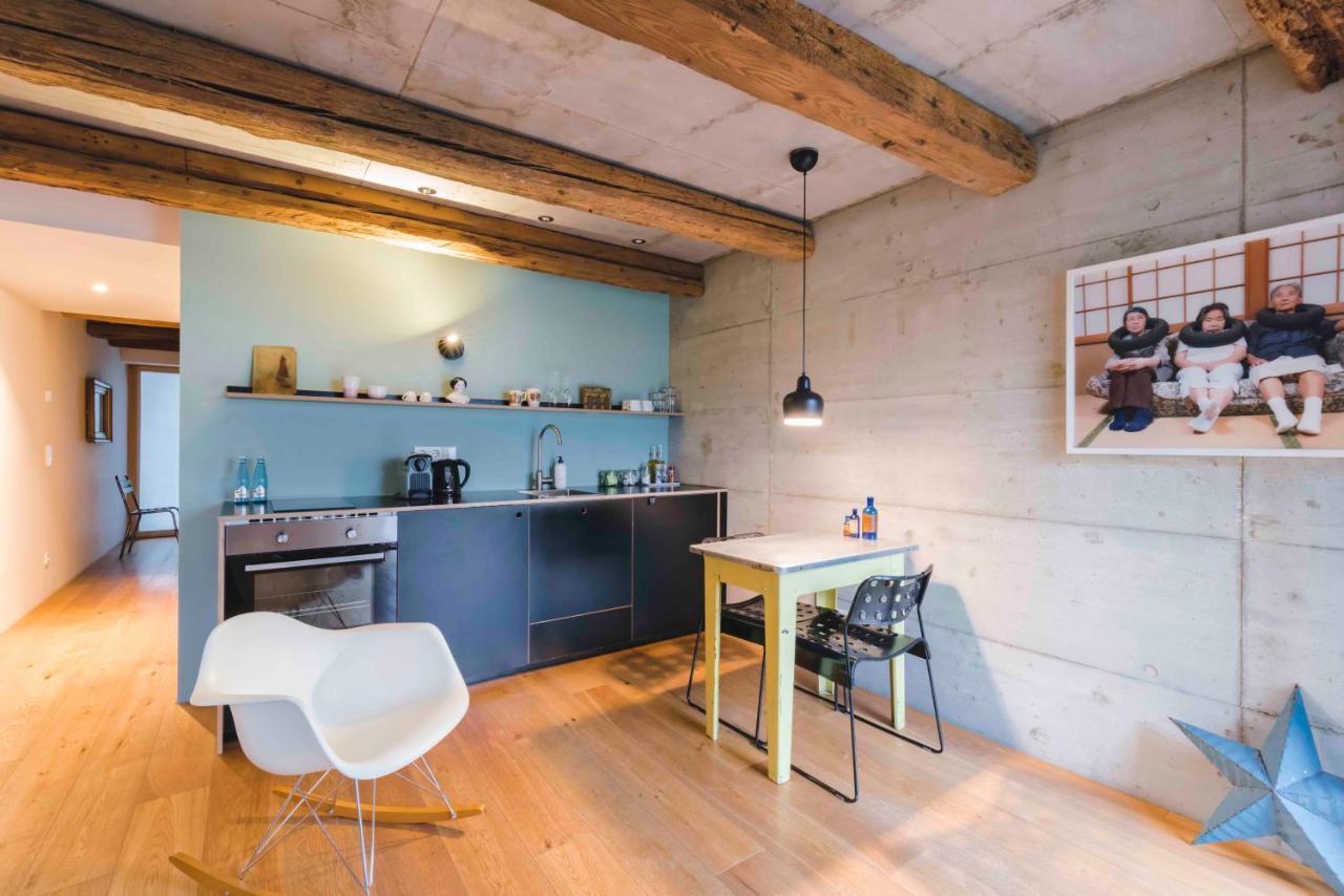 Friz Holiday Apartments Gundelfingen  Dış mekan fotoğraf